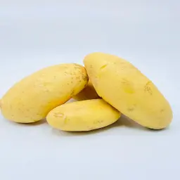 Potato